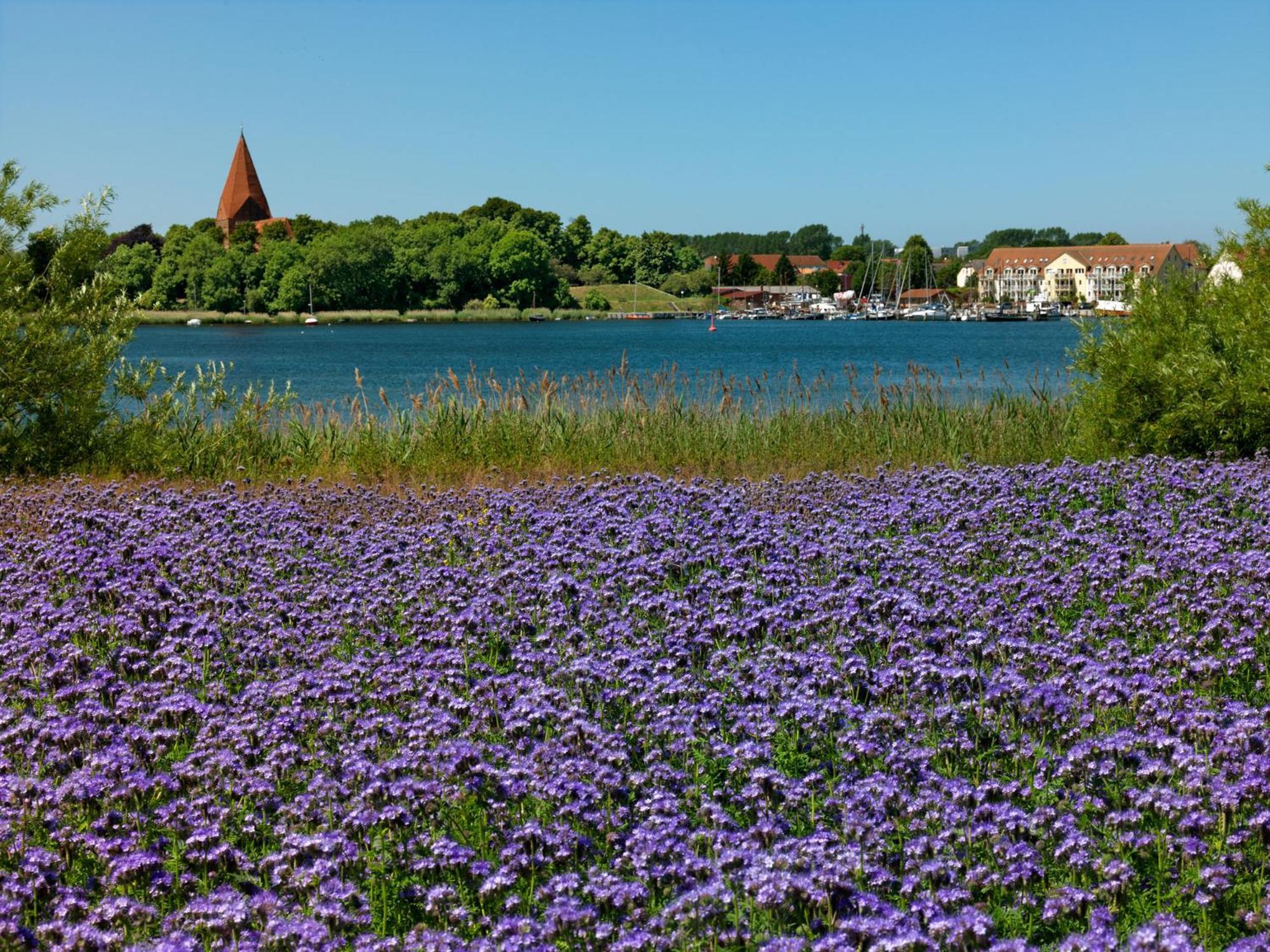 Inselbude Insel Poel Exteriör bild
